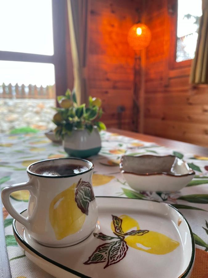 Andizalti Doga Evleri Limon Ev Datca Villa Exteriör bild